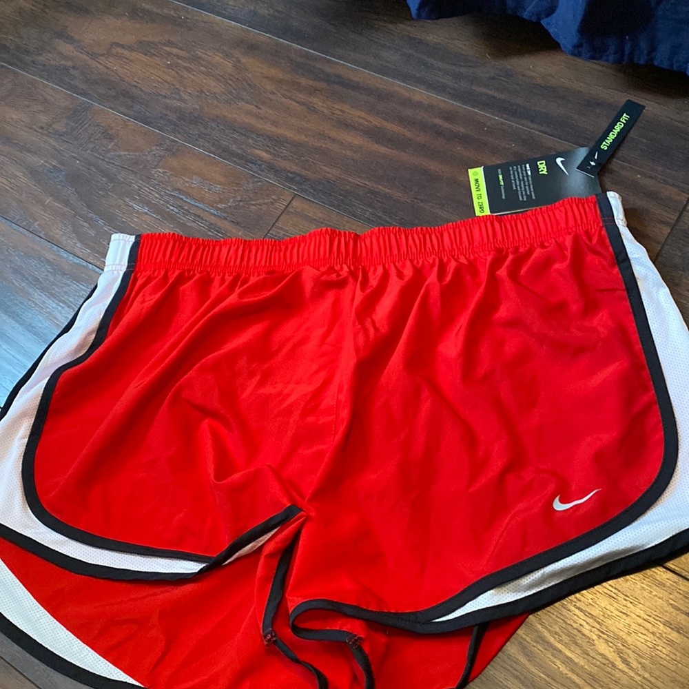 Nike Dri- fit running shorts